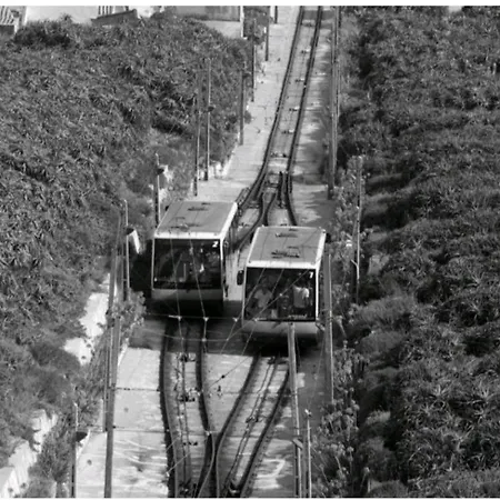 Amada * Nazaré